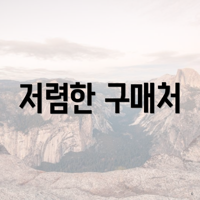 저렴한 구매처