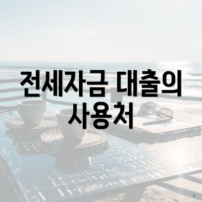전세자금 대출의 사용처