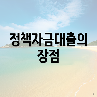 정책자금대출의 장점