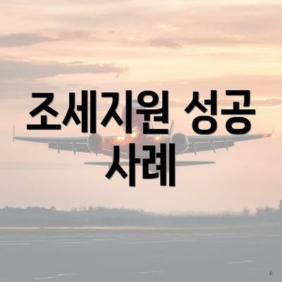 조세지원 성공 사례