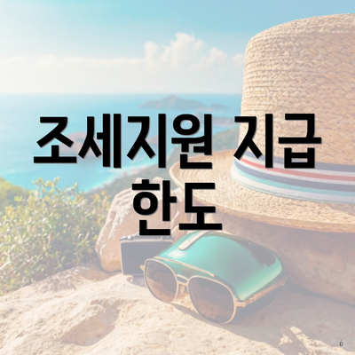 조세지원 지급 한도