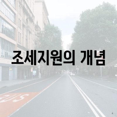 조세지원의 개념