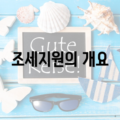 조세지원의 개요