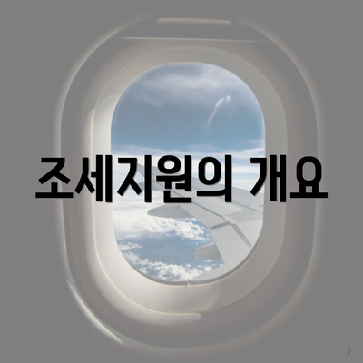 조세지원의 개요