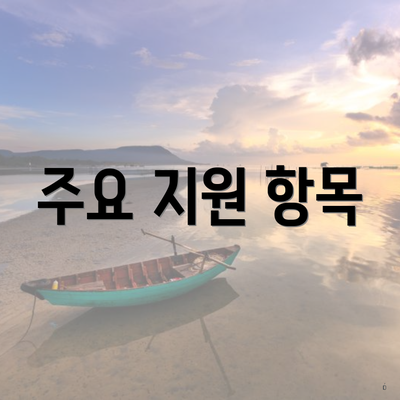 주요 지원 항목