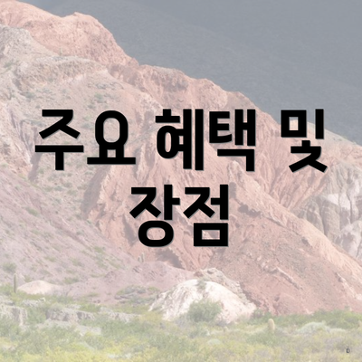 주요 혜택 및 장점