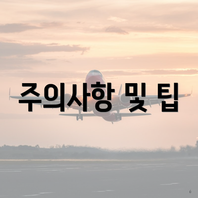 주의사항 및 팁