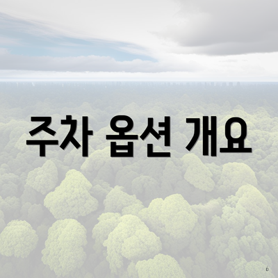 주차 옵션 개요
