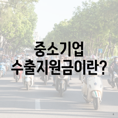중소기업 수출지원금이란?