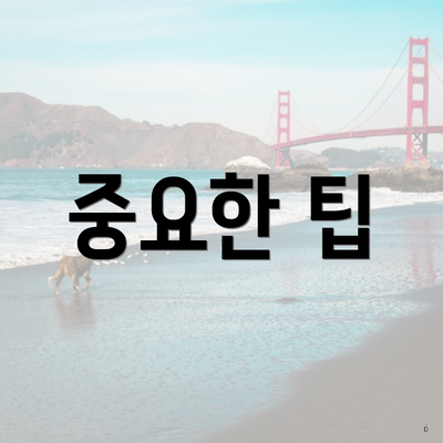 중요한 팁