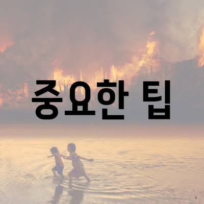 중요한 팁