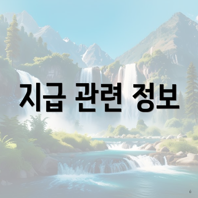 지급 관련 정보