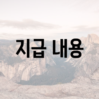 지급 내용