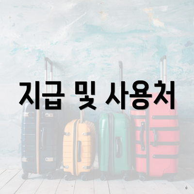 지급 및 사용처