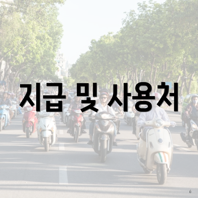 지급 및 사용처