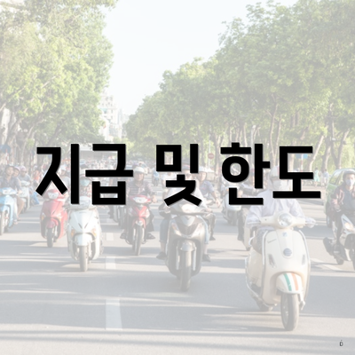 지급 및 한도