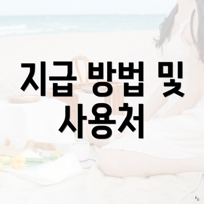 지급 방법 및 사용처