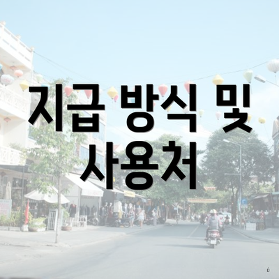 지급 방식 및 사용처