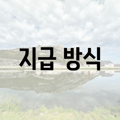 지급 방식