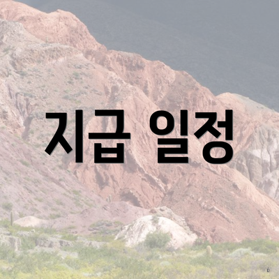 지급 일정