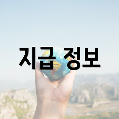 지급 정보