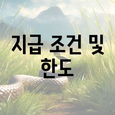 지급 조건 및 한도