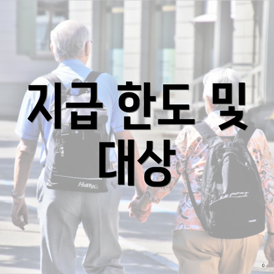 지급 한도 및 대상