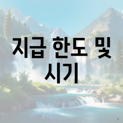 지급 한도 및 시기