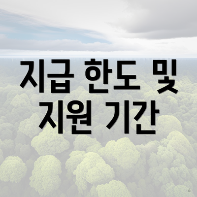 지급 한도 및 지원 기간