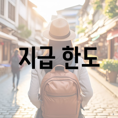 지급 한도