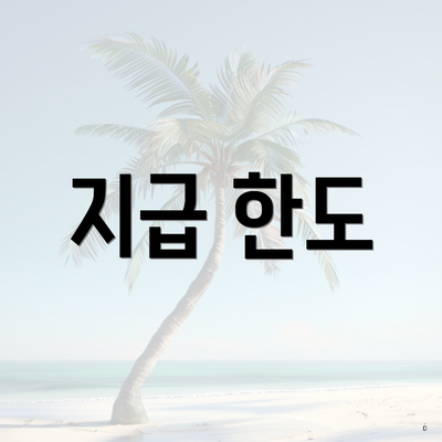 지급 한도