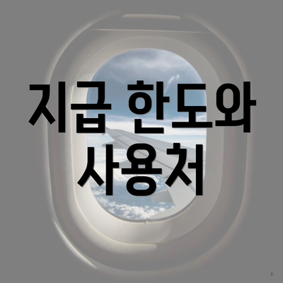 지급 한도와 사용처