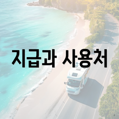 지급과 사용처