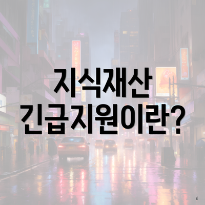 지식재산 긴급지원이란?