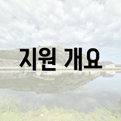 지원 개요
