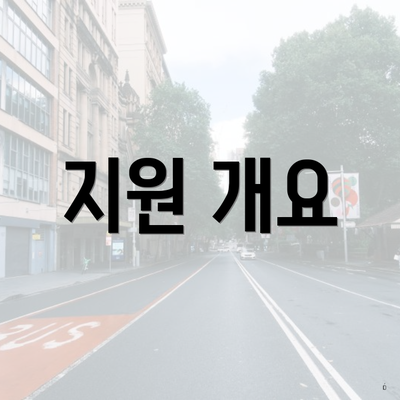 지원 개요
