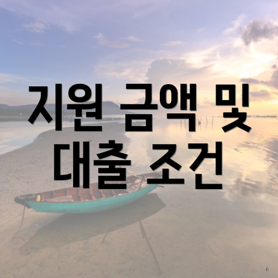 지원 금액 및 대출 조건