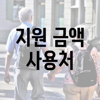 지원 금액 사용처