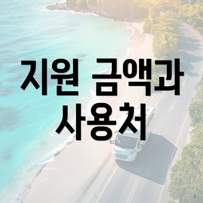 지원 금액과 사용처