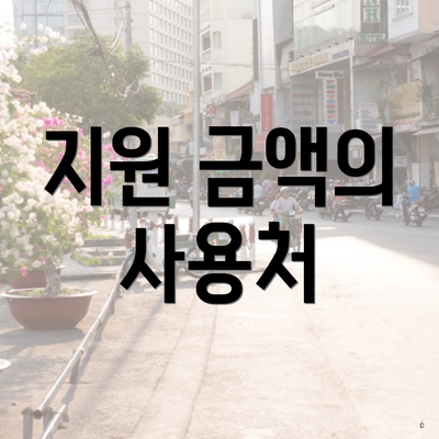 지원 금액의 사용처