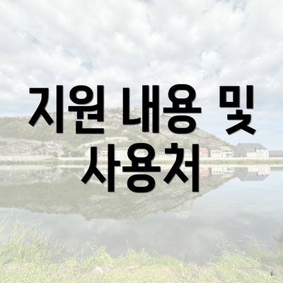 지원 내용 및 사용처