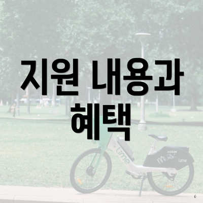 지원 내용과 혜택