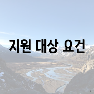 지원 대상 요건