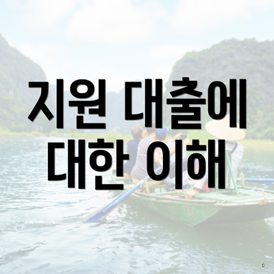 지원 대출에 대한 이해