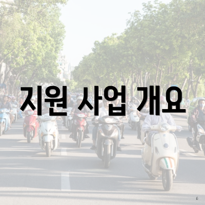 지원 사업 개요