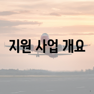 지원 사업 개요