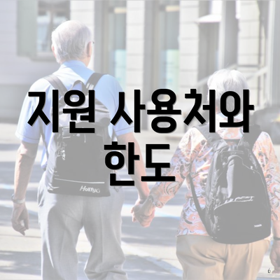 지원 사용처와 한도