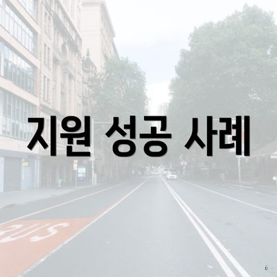 지원 성공 사례
