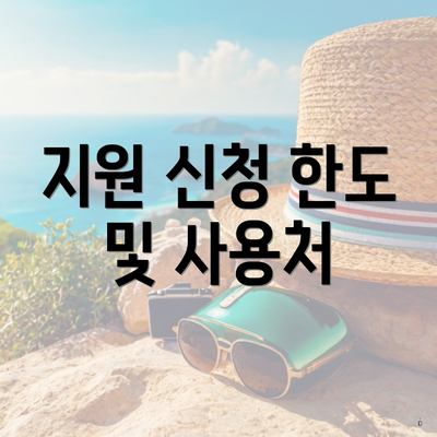 지원 신청 한도 및 사용처