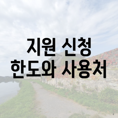 지원 신청 한도와 사용처